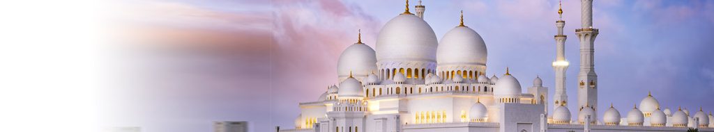 Abu Dhabi City Tour from Dubai