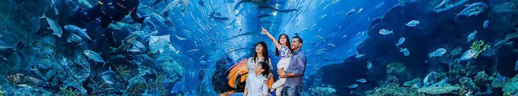 Dubai mall Aquarium